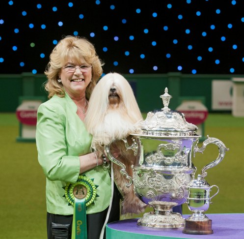 Crufts 2012 store