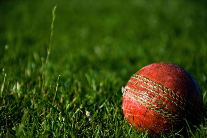 A cricket ball