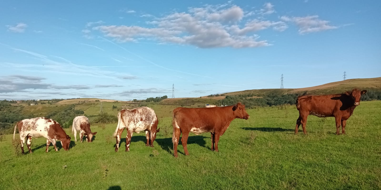 Inheritance tax Manchester farmers ‘praying for the Government to see